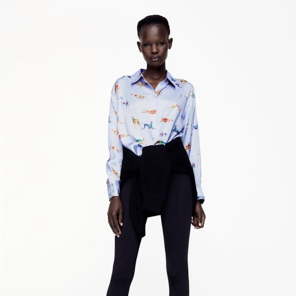 Zara Cropped Printed Blouse